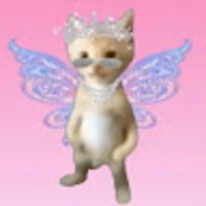 Meet your Posher, Charlotte